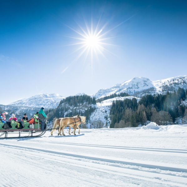 alpenrose obertauern winter pferdekutschenfahren