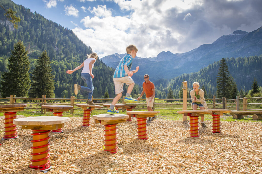 GnadenalmAlles Alm obertauern 8