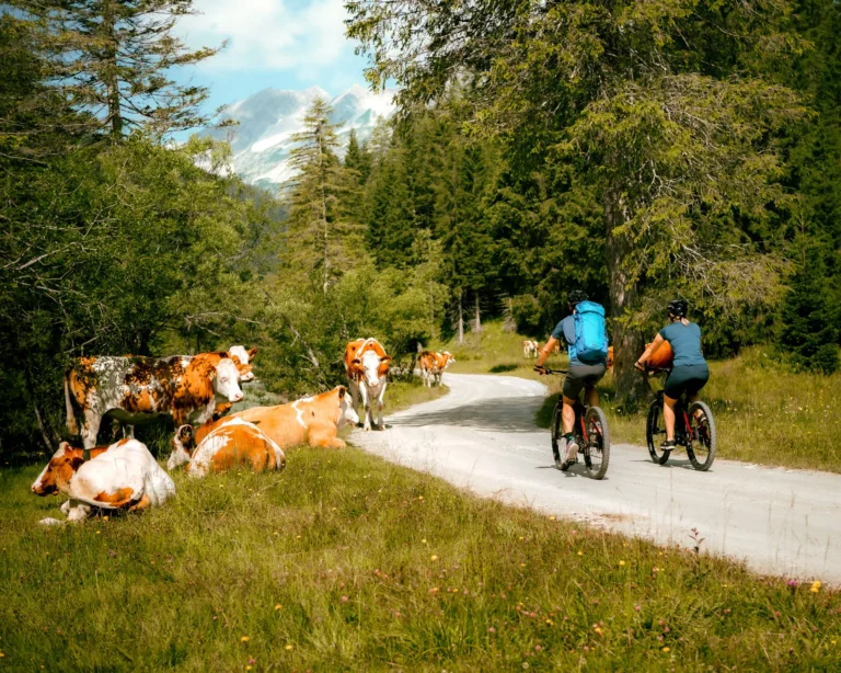 Radfahren in Obertauerns Natur