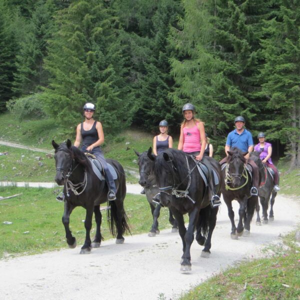 sommer obertauern alpenrose reiten tweng